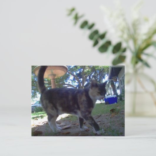 Carte Postale Caliope (Debout devant)