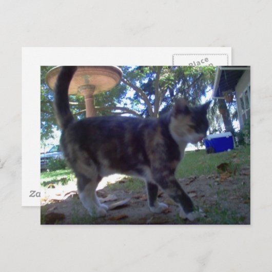 Carte Postale Caliope (Devant / Derrière)