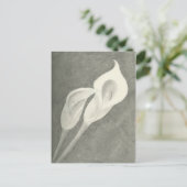 Carte Postale Calla Lilies (Debout devant)