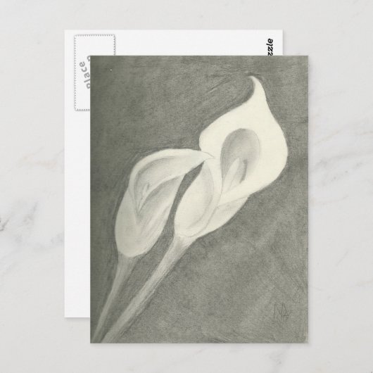 Carte Postale Calla Lilies (Devant / Derrière)