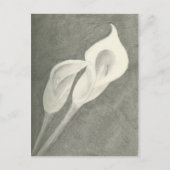 Carte Postale Calla Lilies (Devant)
