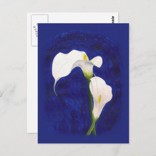 carte postale calla lilies (Devant / Derrière)