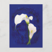 carte postale calla lilies (Devant)
