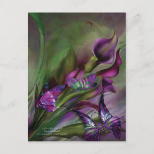 Carte postale Calla Lilies Art