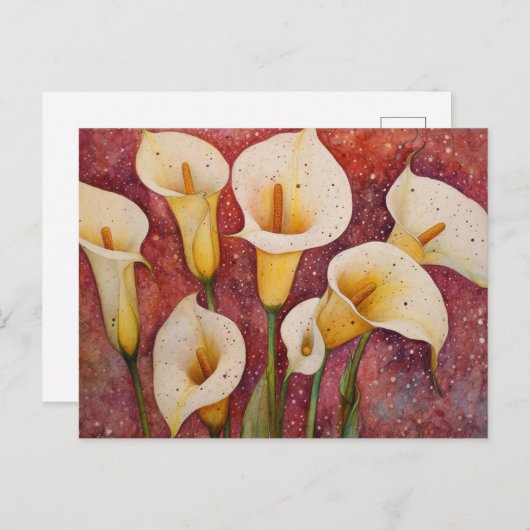 Carte Postale Calla Lillies (Devant / Derrière)