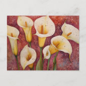 Carte Postale Calla Lillies (Devant)