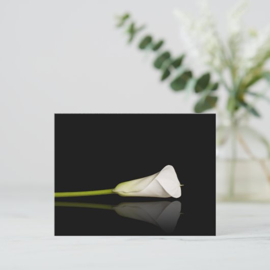 Carte postale Calla lily (Debout devant)