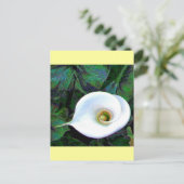Carte Postale Calla Lily 2011 (Debout devant)