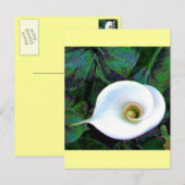 Carte Postale Calla Lily 2011 (Devant / Derrière)