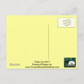Carte Postale Calla Lily 2011 (Dos)