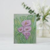Carte Postale Calla Lys (Debout devant)