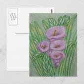 Carte Postale Calla Lys (Devant / Derrière)