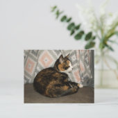 Carte Postale Callie Cat sur Sofa (Debout devant)
