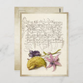 Carte Postale calligraphie antique vintage illustration botaniqu (Devant / Derrière)