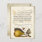 Carte Postale Calligraphie dorée initiale vintage perruque (Devant / Derrière)