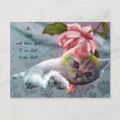 Carte postale Calm cat confort scripture (Devant)