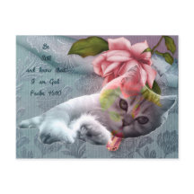 Carte postale Calm cat confort scripture