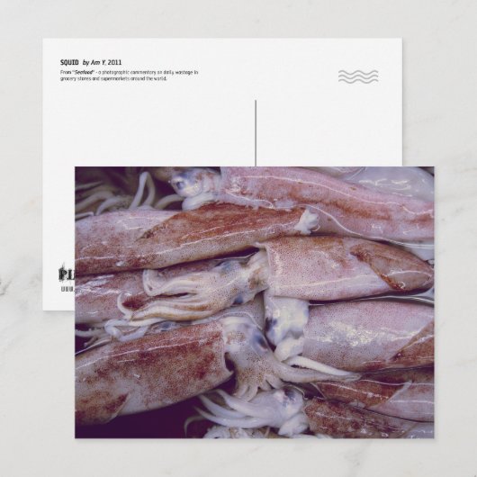 Carte Postale Calmar (Devant / Derrière)