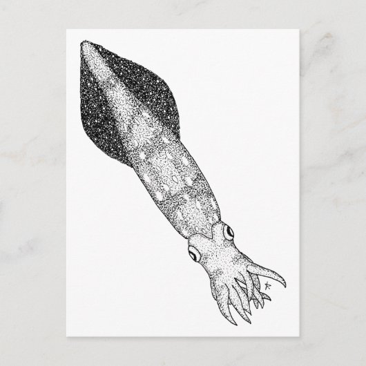 Carte Postale Calmar (Devant)