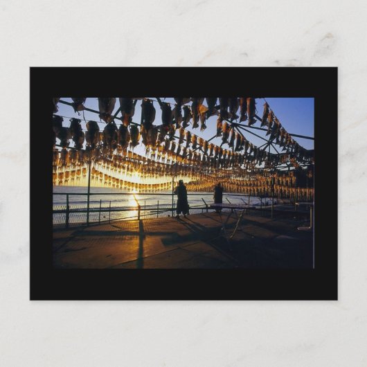 Carte Postale Calmar séché (Devant)