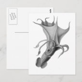 Carte Postale Calmar vintage (Devant / Derrière)