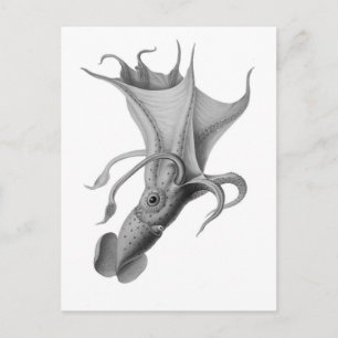 Carte Postale Calmar vintage