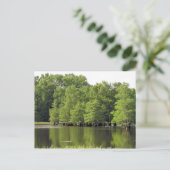 Carte Postale Calme Cove (Debout devant)