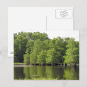 Carte Postale Calme Cove (Devant / Derrière)