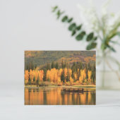 Carte Postale Calme d'automne (Debout devant)