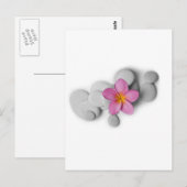 Carte Postale Calme de Frangipani (Devant / Derrière)
