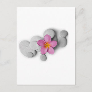 Carte Postale Calme de Frangipani