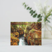 Carte Postale Calme de paix Rogue River Oregon USA (Debout devant)