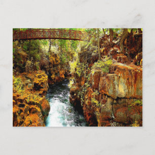 Carte Postale Calme de paix Rogue River Oregon USA