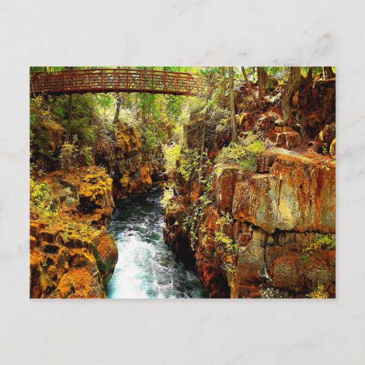 Carte Postale Calme de paix Rogue River Oregon USA (Devant)