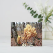 Carte postale Calocera viscosa (Debout devant)