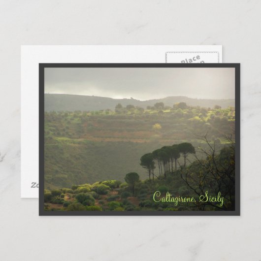 Carte Postale Caltagirone. Sicile (Devant / Derrière)