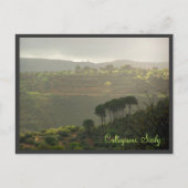 Carte Postale Caltagirone. Sicile (Devant)