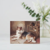 Carte Postale Camarades - Chien Kitten - Chien (Debout devant)