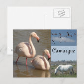 Carte postale Camargue (Devant / Derrière)
