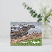 Carte Postale Cambria California (Debout devant)