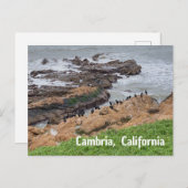 Carte Postale Cambria California (Devant / Derrière)