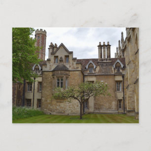Carte postale Cambridge de Newton's Apple Tree