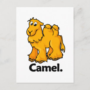 Carte Postale Camel.