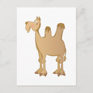 Carte Postale Camel