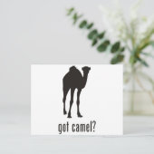 Carte Postale Camel (Debout devant)