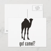 Carte Postale Camel (Devant / Derrière)