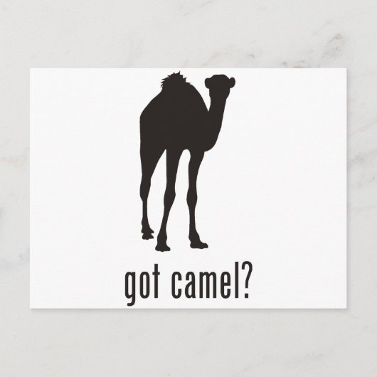 Carte Postale Camel (Devant)