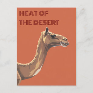 Carte Postale Camel