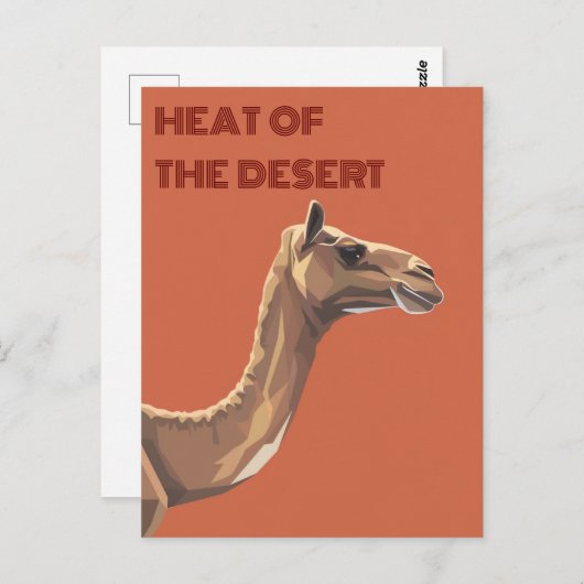 Carte Postale Camel (Devant / Derrière)