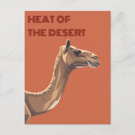 Carte Postale Camel (Devant)